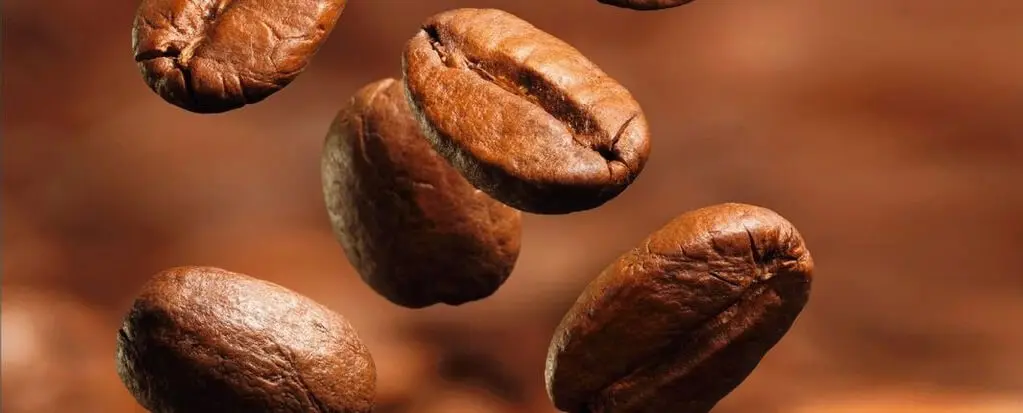 Mehrere Kaffeebohnen in Nahaufnahme, die vor einem verschwommenen Hintergrund schweben